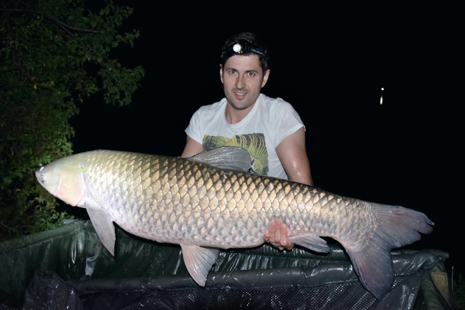 Tancabesti 13 - 15 aug. - 22 kg